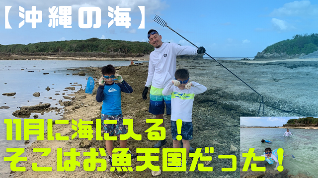 21日・11月なのに海に入れる沖縄!そこはお魚天国だった!