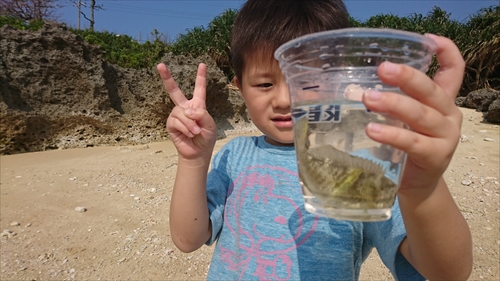 21日・27度だったので庭遊びから海へ！