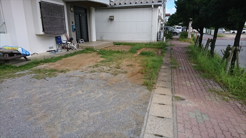 6日・自作パラライザーが最高でした！