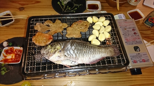 19日・素潜りが激アツ過ぎる・・・