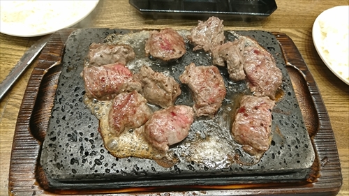 8日・ネオパーク、DINO恐竜、フルーツランド！