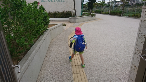 1日・ニャーコが懐きすぎ！