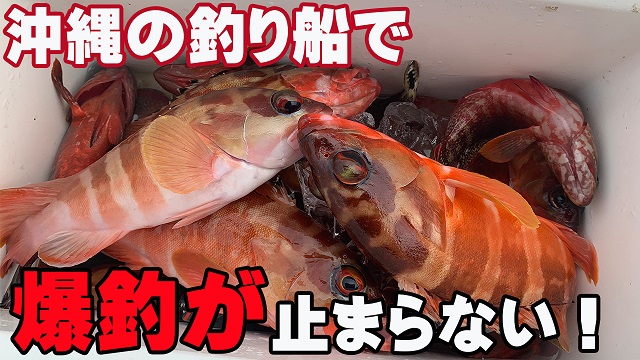 7日・沖縄の釣り船に初めて乗ったら小学生が3時間で爆釣し過ぎてヤバ過ぎた・・・