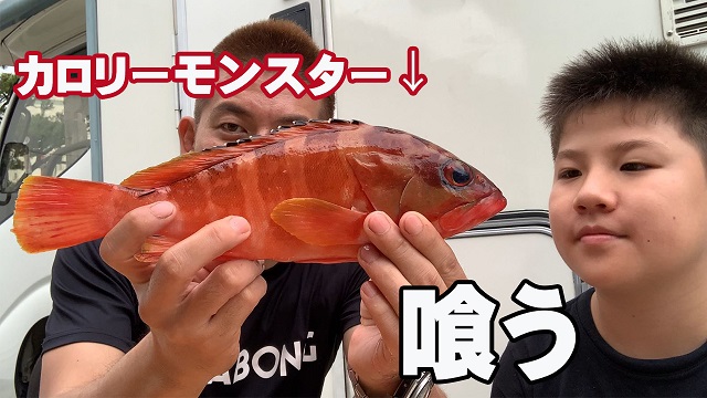 10日・小学生がカロリーモンスターのアカハタのバター焼きを作って食べる!【ミーバイ】