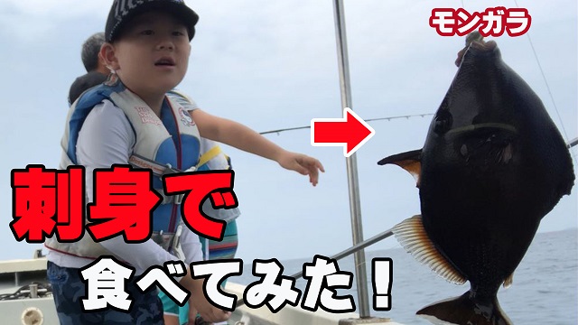 8日・鋼鉄のような皮を持つカワハギを刺身で食べたら…【初めての三枚おろし】