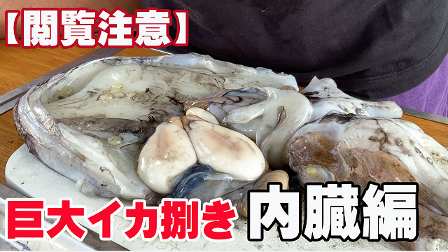 27日・【閲覧注意】小学生が初めてコウイカを捌いたら内臓がグロ過ぎた!
